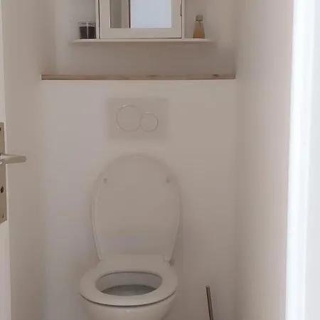 Satisfaction Absolue